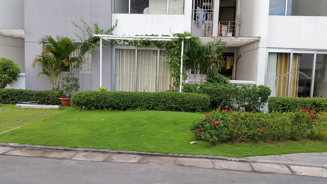 Khó khăn khi sở hữu căn hộ tầng trệt có sân: Những trải nghiệm thực tế từ cư dân - Ảnh 2.
