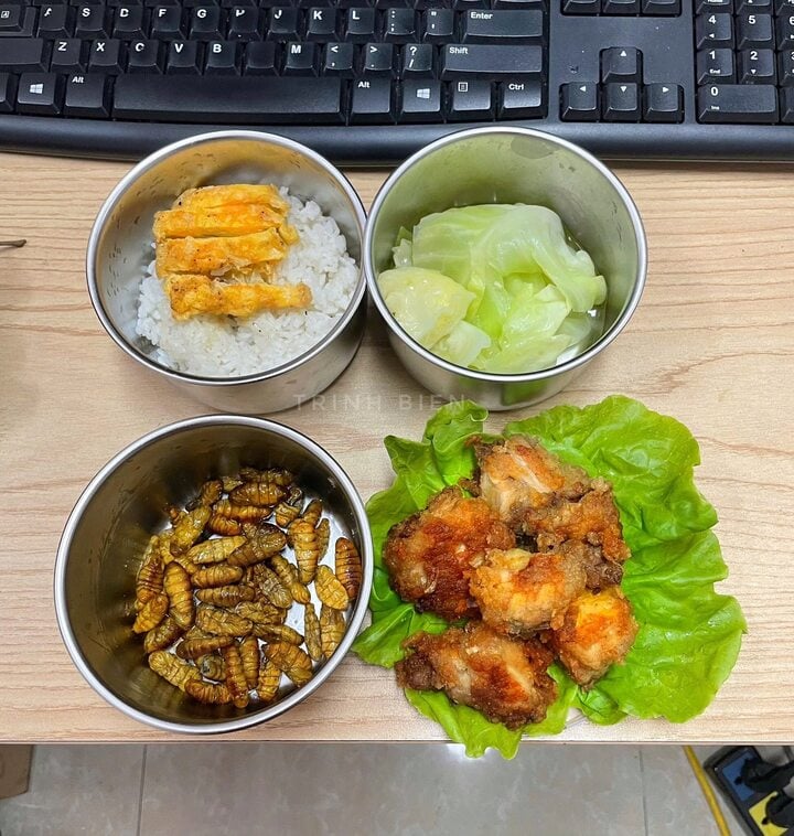 Hộp cơm văn phòng