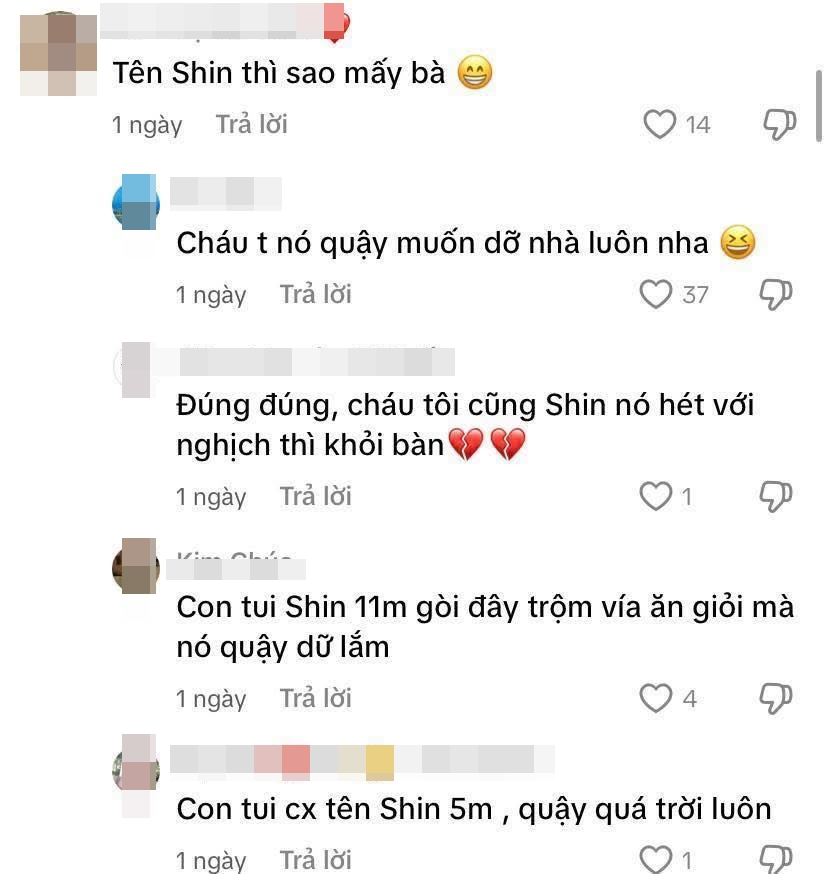 Cảnh báo từ mẹ bỉm: Cần cân nhắc kỹ khi đặt tên ở nhà cho con - Ảnh 7.