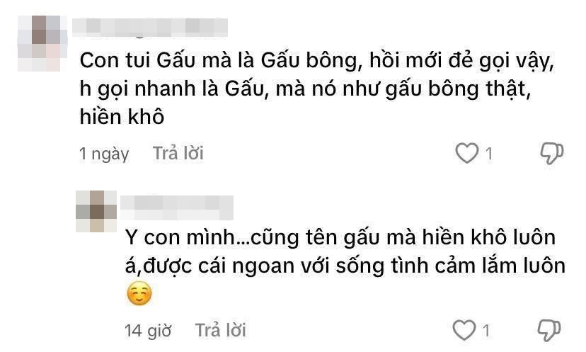 Cảnh báo từ mẹ bỉm: Cần cân nhắc kỹ khi đặt tên ở nhà cho con - Ảnh 9.