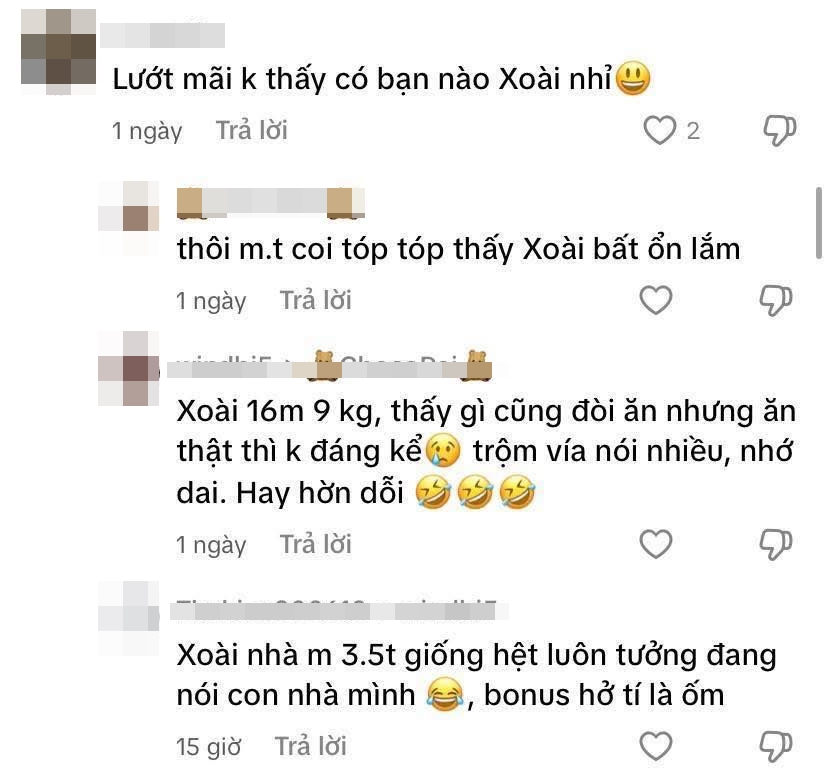 Cảnh báo từ mẹ bỉm: Cần cân nhắc kỹ khi đặt tên ở nhà cho con - Ảnh 11.