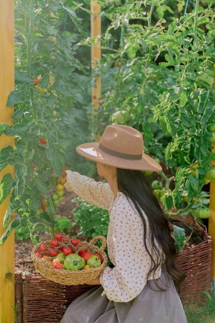 5 Bí Quyết Tiết Kiệm Tiền Từ Mẹ: Những Điều Con Cái Coi Là Lỗi Thời Nhưng Thực Sự Hiệu Quả