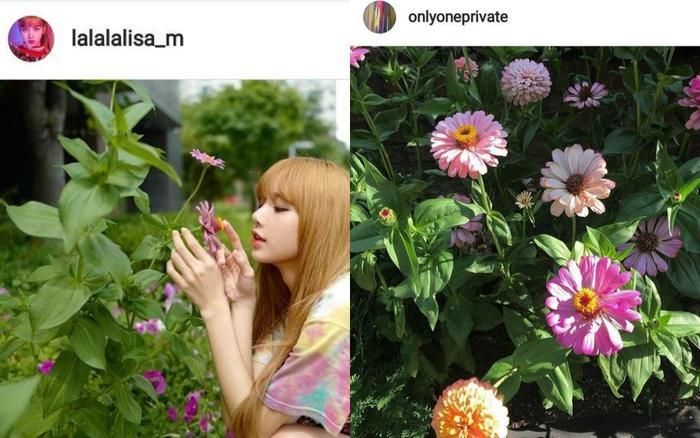 Hình ảnh trong MV mới của Lisa