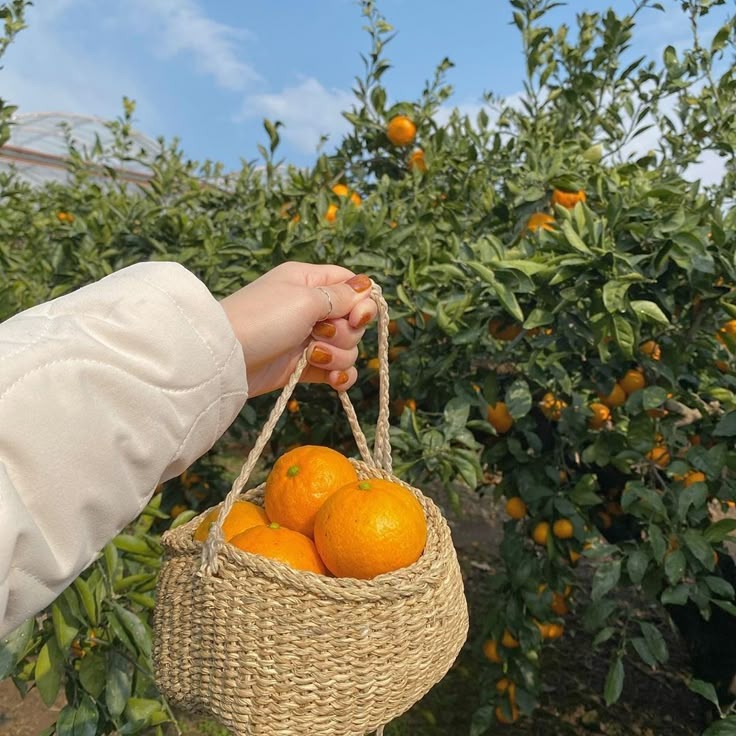 5 Bí Quyết Tiết Kiệm Tiền Từ Mẹ: Những Điều Con Cái Coi Là Lỗi Thời Nhưng Thực Sự Hiệu Quả