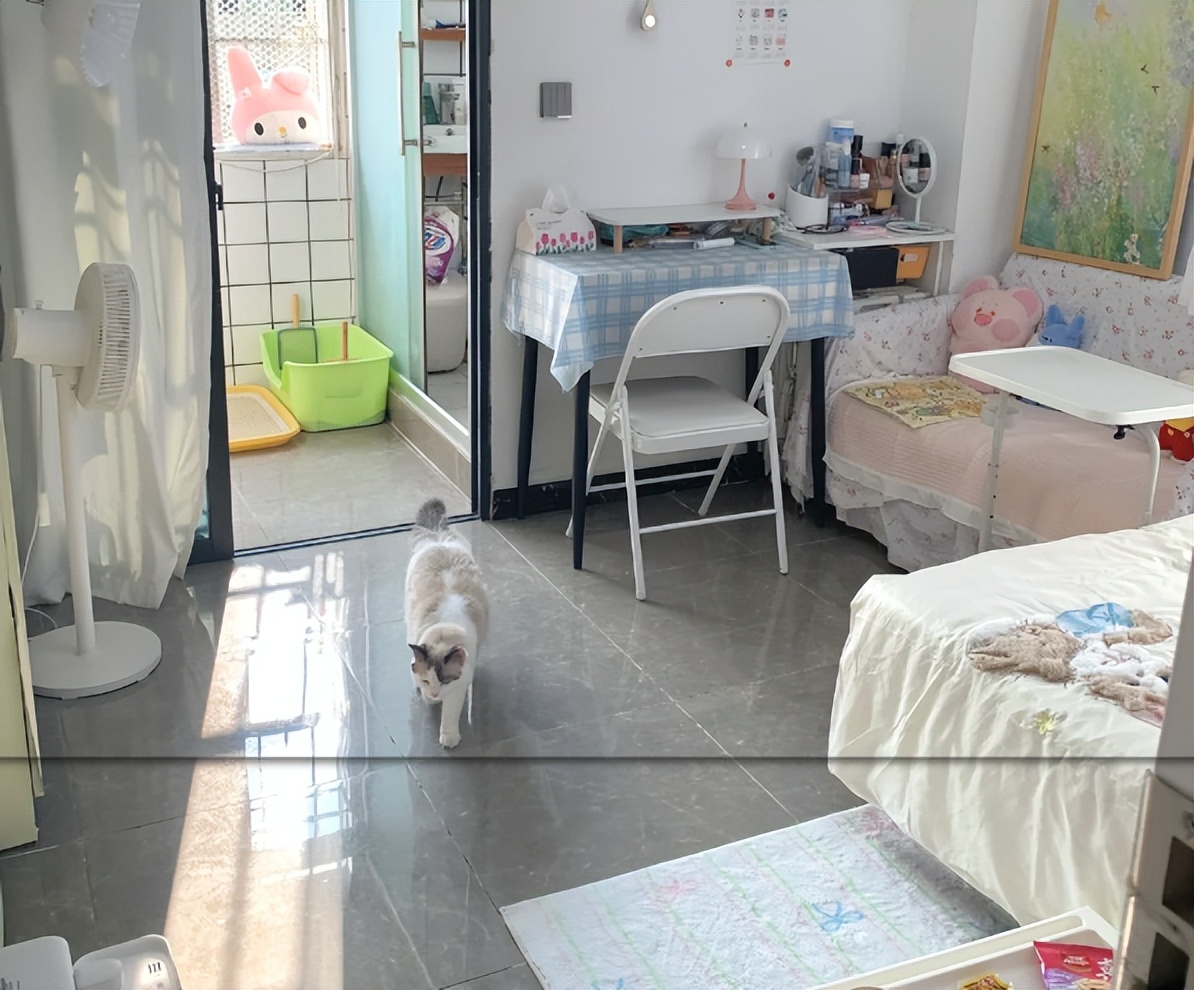 3 kiểu nhà thuê dễ thu hút vận xui, làm thất thoát tài lộc - Bạn có đang ở trong số đó? - Ảnh 2.