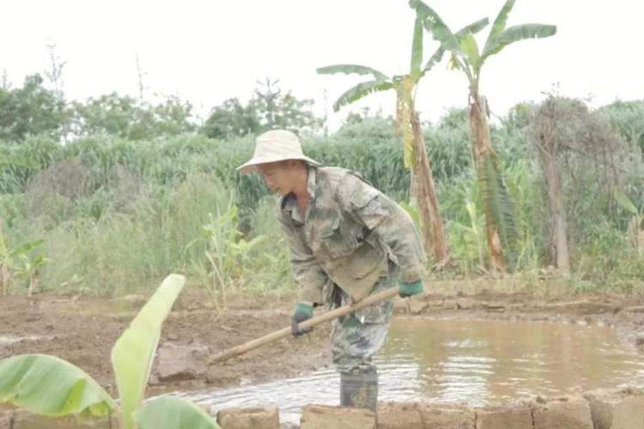 Phòng đọc sách của Trần Thiên Minh