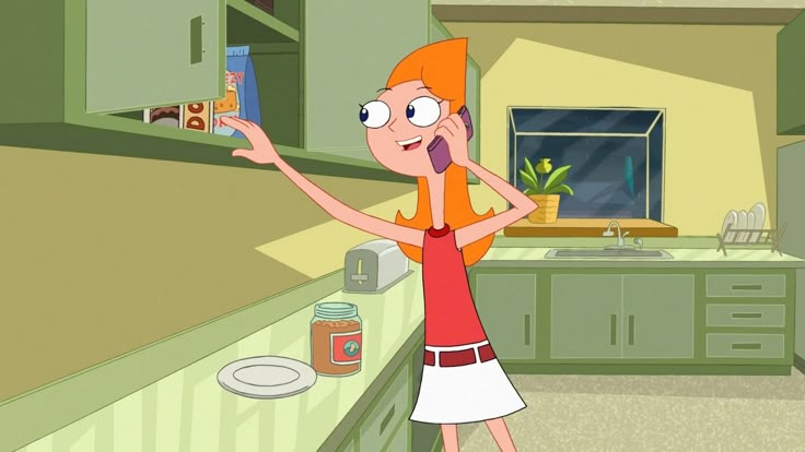 Ngôi nhà của Phineas và Ferb - Ảnh 5.