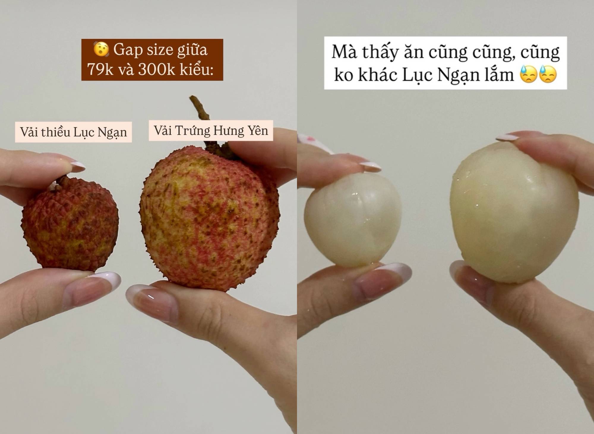 Mẹ Cua Cốm ca ngợi vải trứng Phù Cừ, người bán vải Thanh Hà lên tiếng: