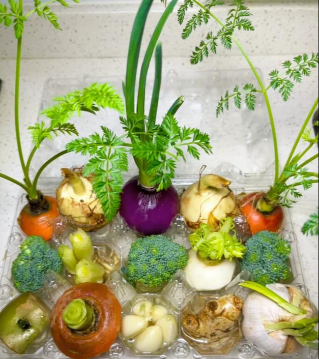 Cây xanh từ rau củ