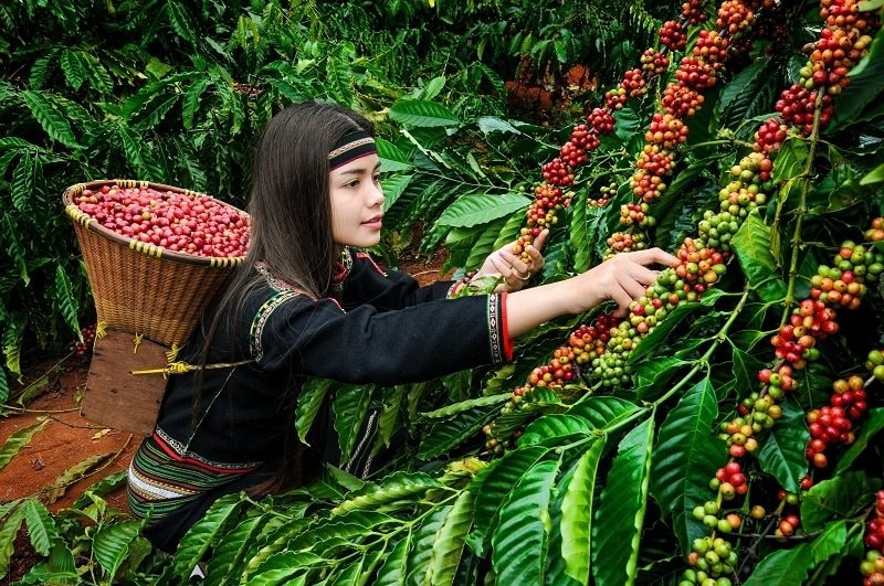 Thành phố với nhiều tên gọi nhất Việt Nam chính thức ngừng hoạt động - Ảnh 4.