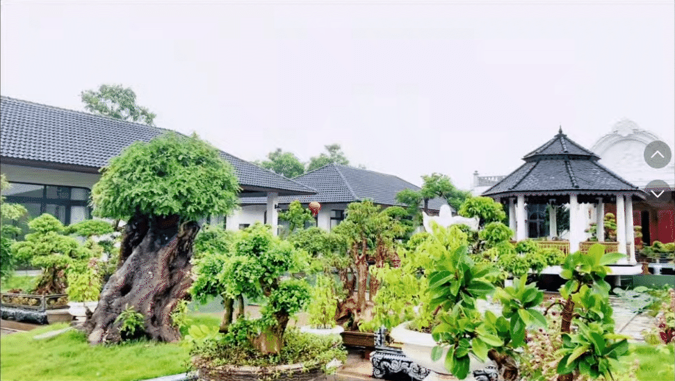 Khu biệt thự của bốn anh em ruột tại Thanh Hóa - Ảnh 14.