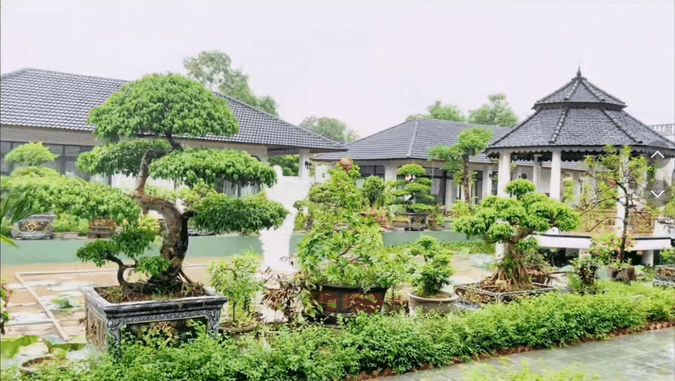 Khu biệt thự của bốn anh em ruột tại Thanh Hóa - Ảnh 12.