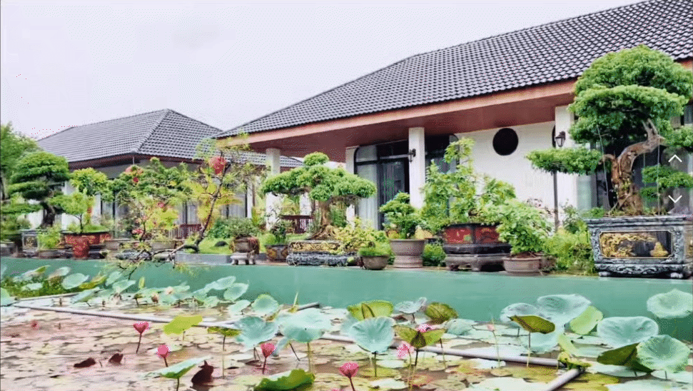 Khu biệt thự của bốn anh em ruột tại Thanh Hóa - Ảnh 6.