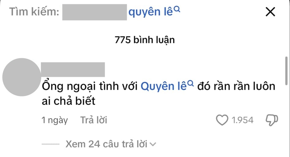 Quyên Lê - Nhân vật gây sốt mạng xã hội gần đây là ai? - Ảnh 3.