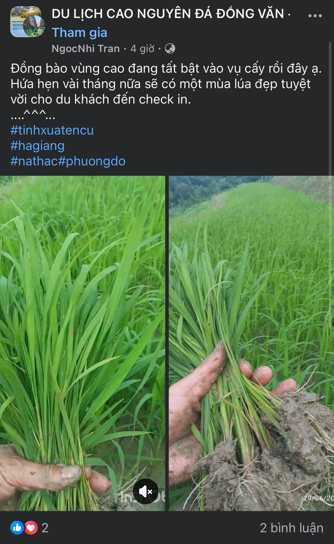 Hình ảnh 1