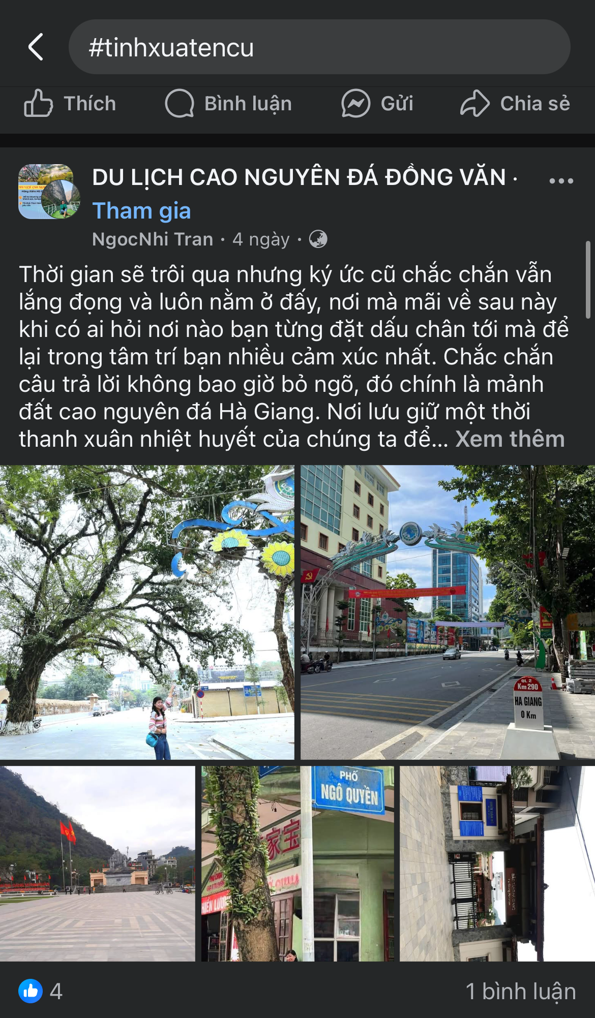 Hình ảnh 3