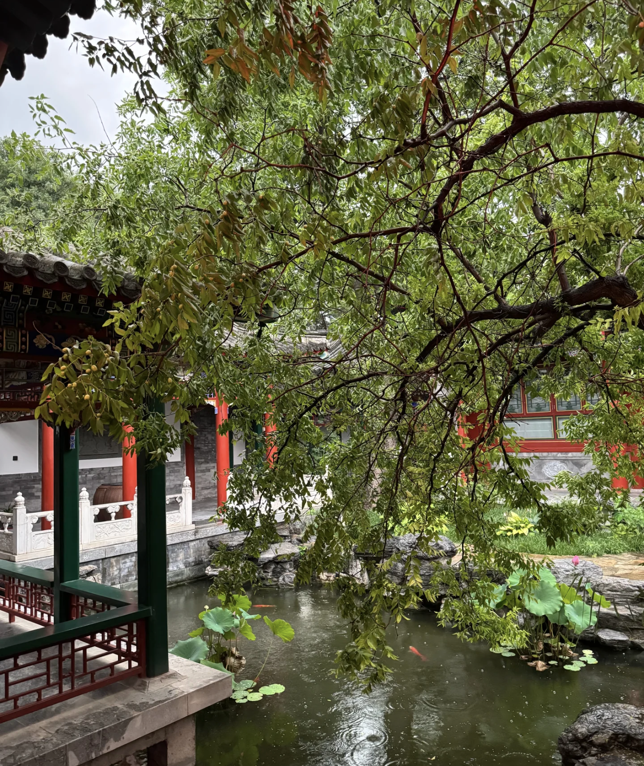 Biệt thự sang trọng