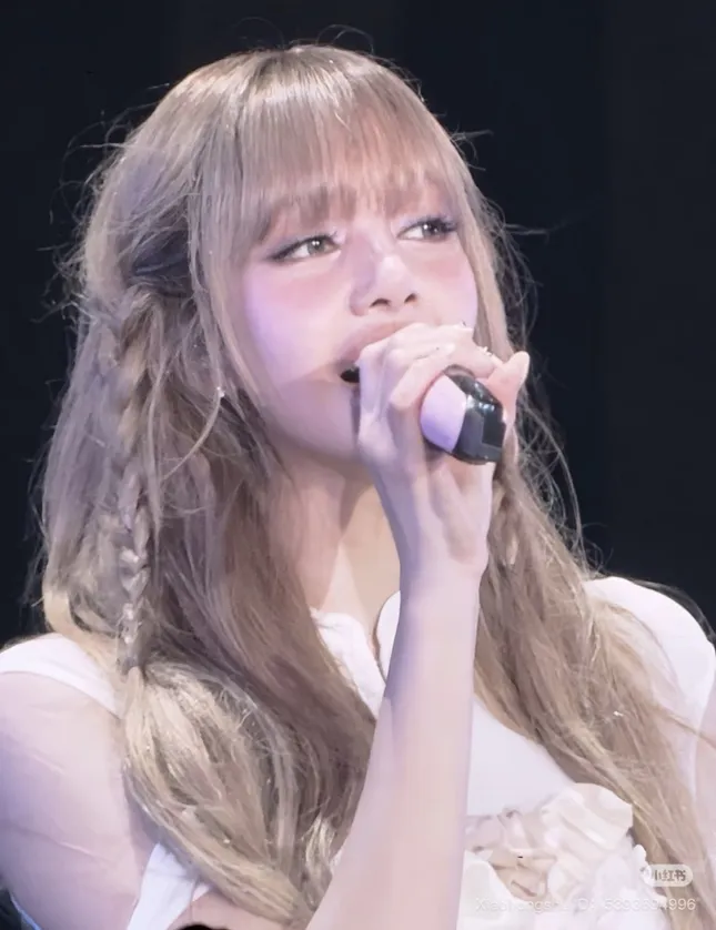 Lisa (BLACKPINK) Gây Tranh Cãi Với Trang Phục Biểu Diễn - Ảnh 1.