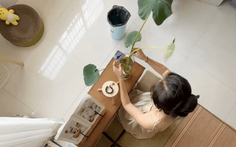 Tại sao bạn không gặp may mắn? Có thể do phong thủy ngôi nhà của bạn đang kém - Ảnh 1.