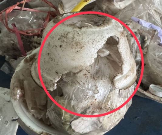 Câu chuyện cảm động về cụ bà 76 tuổi sống cô đơn và phải ăn nhựa xốp - Ảnh 3.
