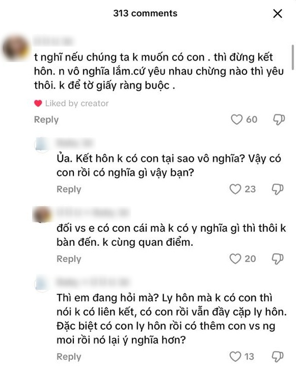 Tại sao kết hôn nếu không có ý định sinh con?- Ảnh 1.