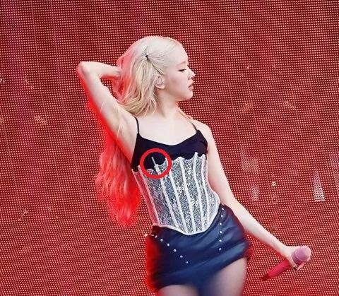 Lisa (BLACKPINK) Gây Tranh Cãi Với Trang Phục Biểu Diễn - Ảnh 3.
