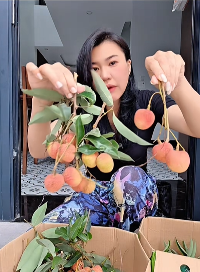 Mẹ Cua Cốm ca ngợi vải trứng Phù Cừ, người bán vải Thanh Hà lên tiếng: